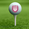 Golf Balls - Arbroath Fc Branded Callaway Golf Balls (Pk Of 3) Thumbnail