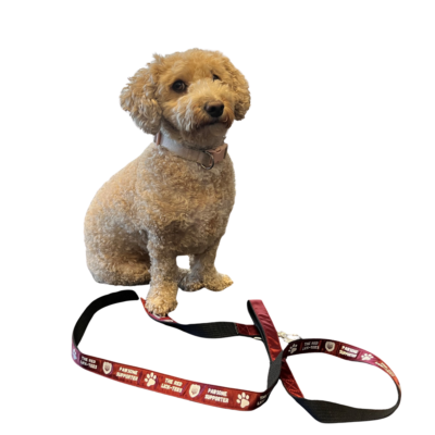 AFC Lick-Tee dog lead